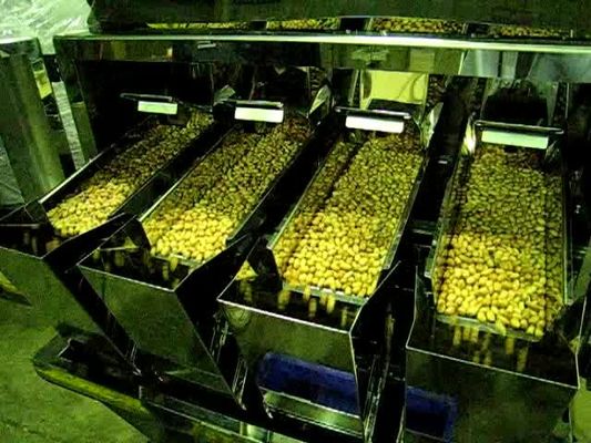 6500 Gram 4 Head Linear Weigher Machine For Chocolate