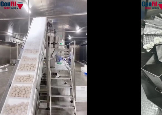 14 Head Rotary Vacuum Packaging Machine For MeatBall Frozen Food Packaging Machine