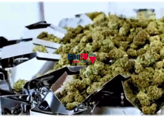 50 Gram Multihead Weigher Packing Machine For Cannabis Flower Into Containers