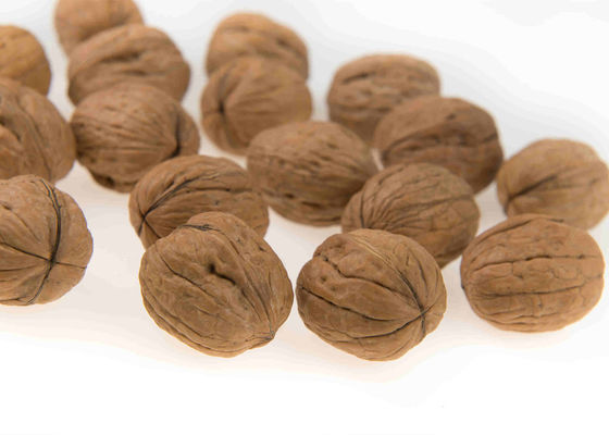 1.6 Liter Multihead Weighing Machine Multihead Weigher for Nuts Walnuts Bigger Hopper Filling Machine