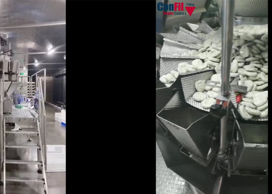 Rotary Vacuum 2000 Gram Multi Head Packing Machine For Fish Ball